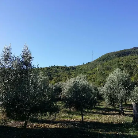 Eira Do Vez Penela